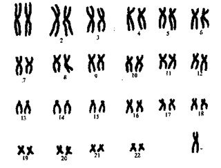 0600eiir-d94d-320x244.png