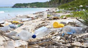 10. Reading. Теxт “A Plastic Ocean: a film review”.