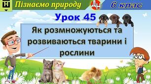 Відеоурок "Як розмножуються та розвиваються тварини і рослини"