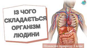 Презентація "Із чого складається організм людини"