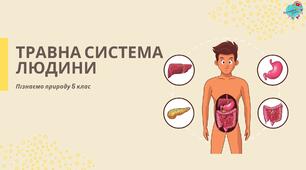 Презентація "Травна система людини"