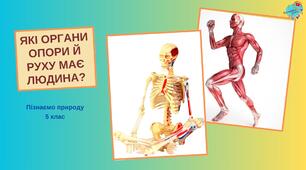 Презентація "Які органи опори і руху має людина"