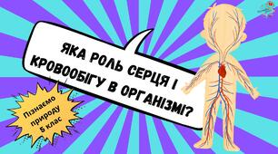 Презентація "Яка роль серця та кровообігу в організмі людини"
