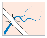 0600ekse-1b9c-152x122.png