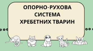 ОПОРНО-РУХОВА СИСТЕМА ХРЕБЕТНИХ ТВАРИН