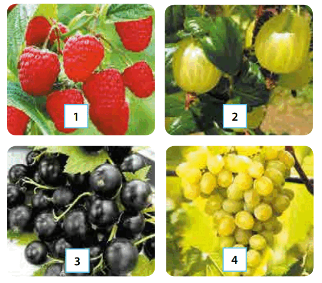 0600em3f-2888-658x577.png