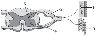 0600em7w-1f48-392x147.png