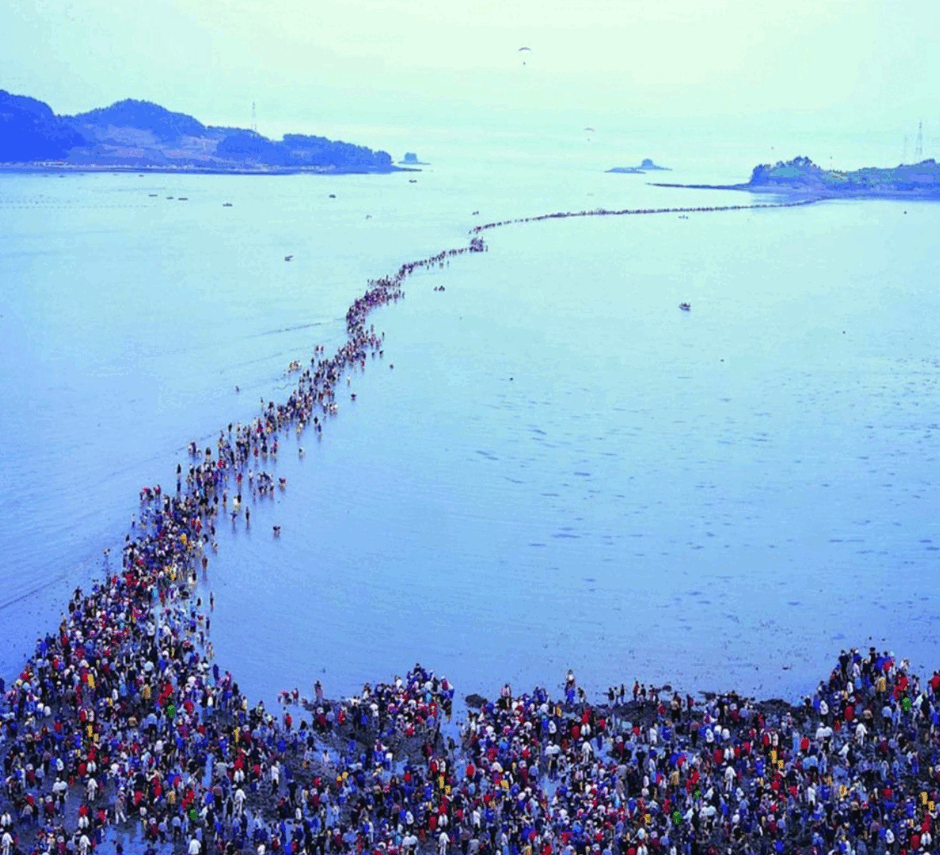 0600ens1-fdbd-940x855.png