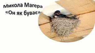 Нічого не руйнуй — братів менших шануй. Навчальне аудіювання: М. Магера «Он як буває»