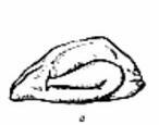 0600euxt-1e78-146x115.jpg