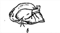 0600euy2-aa87-201x112.png