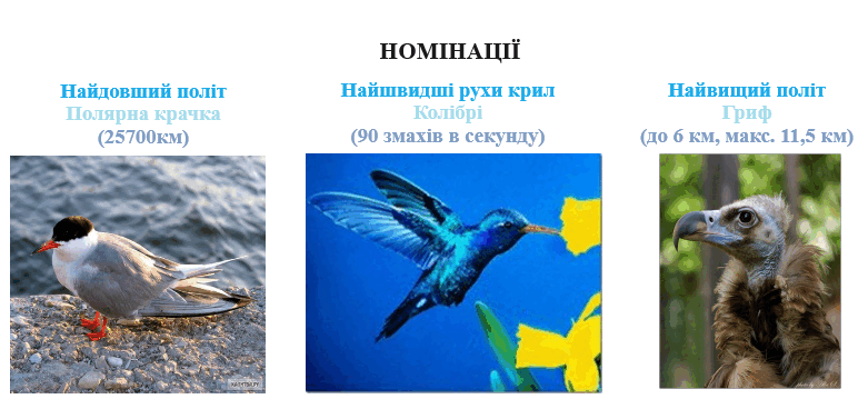0600ew70-f728-772x368.png