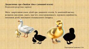 Дидактична гра "Знайди тінь" (домашні птахи)