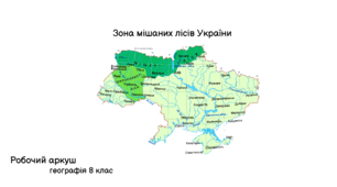 Робочі аркуші "Зона мішаних та широколистих лісів України"