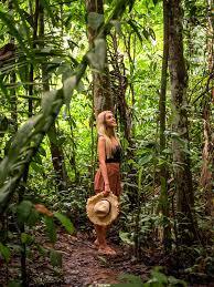 How to visit the Amazon rainforest in Brazil: A complete guide