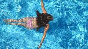 Yes, You Can Swim on Your Period With or Without a Tampon