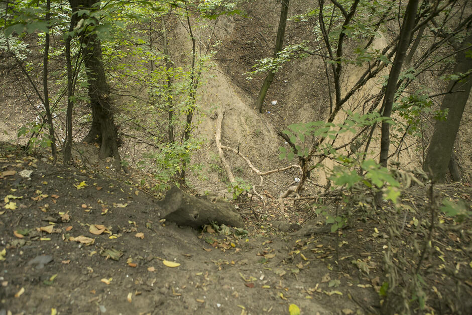 0600f5gr-9878-940x627.jpg