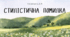 Стилістична помилка. Стилістичне використання багатозначних слів і омонімів