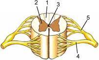 0600f5xb-6d97-203x124.jpg
