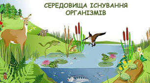 Середовища життя