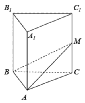 0600f72d-c5b4-299x364.png