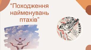 Презентація на тему: "Походження найменувань птахів"