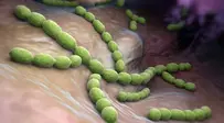 0600f8bl-eed3-203x112.webp