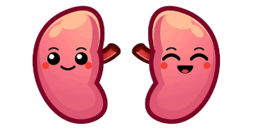 0600f9mu-5e1f-365x187.png