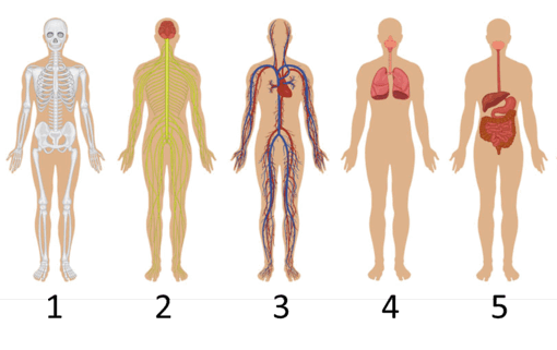 0600fbgq-8561-510x321.png