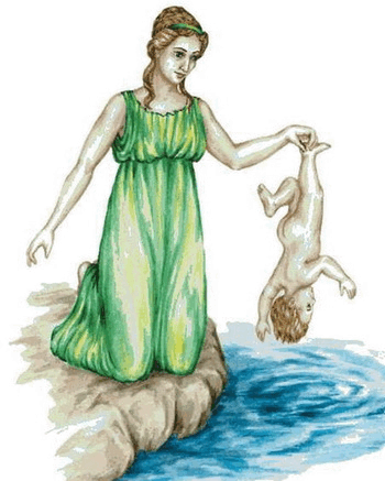 0600fen6-bb7d-350x437.png