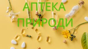 Презентація з факультативу "Аптека природи" 6 - 8 кл. Заняття 5. Чорна смородина.