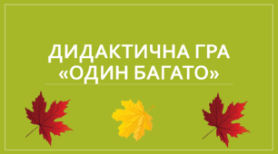 Презентація "Один - багато"
