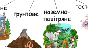 Середовища існування організмів. 6 клас.НУШ.