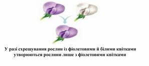 0600fr0y-4608-297x132.jpg