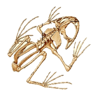 0600fvhd-0025-360x328.png
