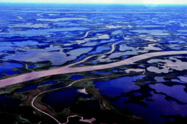 Mackenzie Delta: Canada's Principal Arctic Delta | SpringerLink