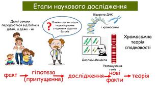 Наукове дослідження. Етапи наукового дослідження. Ефективність наукових досліджень