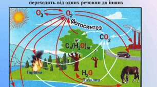 Колообіг Оксигену в природі. Озон.