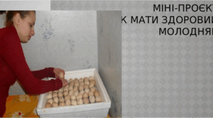Міні-проєкт " Інкубатор як мати здоровий молодняк ".