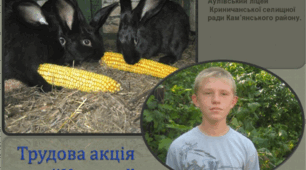 Трудова акція " Кролик ".