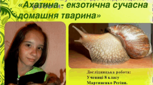 Науково-дослідницька робота  « Ахатина - екзотична сучасна домашня тварина ».