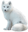 0600g33n-f75a-95x107.png