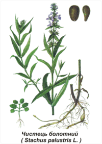0600g622-b607-200x282.png