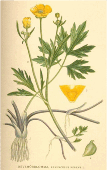 0600g628-777a-215x342.png