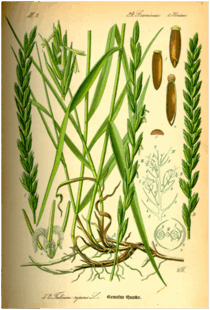 0600g62f-5455-210x310.png