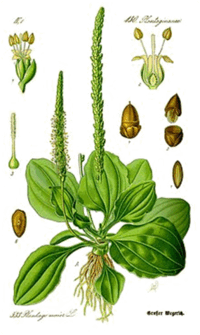 0600g63d-1ed7-200x335.png