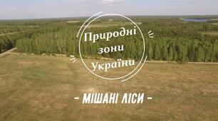 Зона мішаних і широколистих лісів.