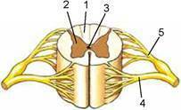 0600g7t5-e915-203x124.jpg