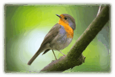 0600g9nj-c1ae-235x158.png