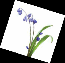 0600g9yz-9351-215x209.png